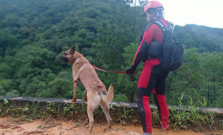 Equipes retiram 7 mil metros cúbicos de terra na BR-376 e limpam pista no sentido norte