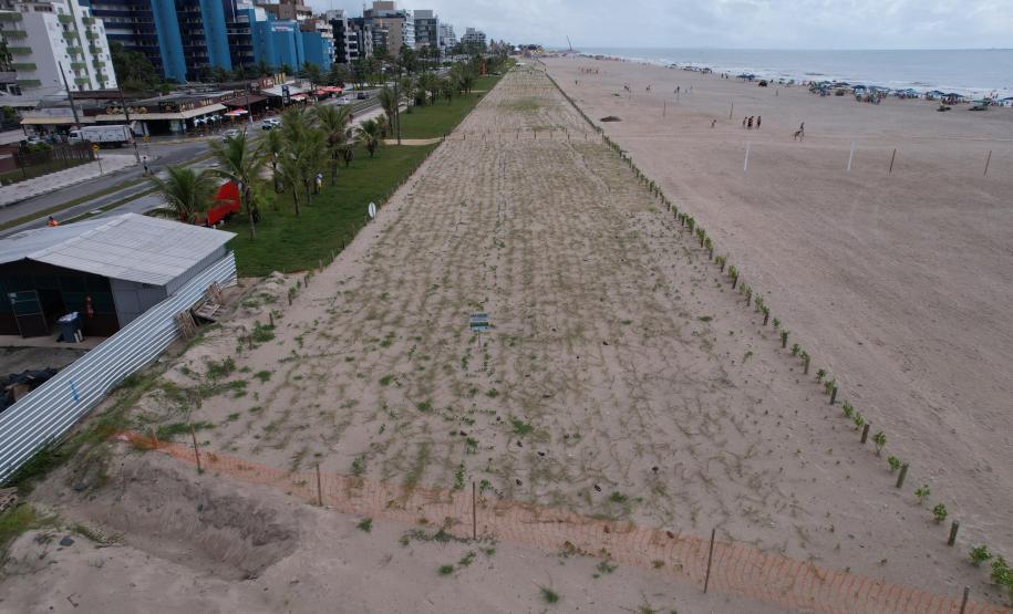 Revitalização da orla vai ampliar em quase cinco vezes a área de restinga nativa de Matinhos
