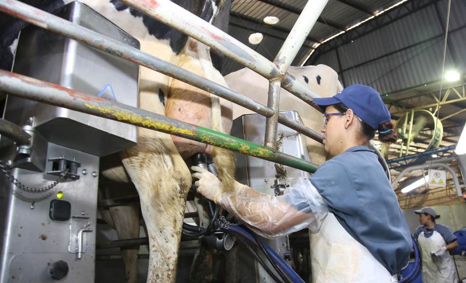 Com aumento em todas as faixas, Salário Mínimo Regional do Paraná será o maior do País