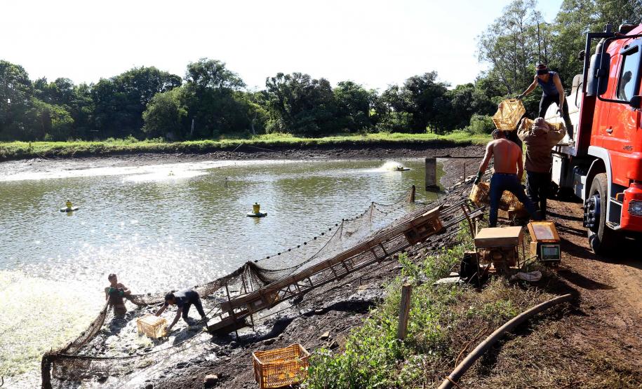 Com aumento em todas as faixas, Salário Mínimo Regional do Paraná será o maior do País