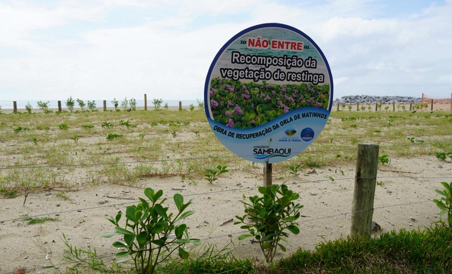 Revitalização da orla vai ampliar em quase cinco vezes a área de restinga nativa de Matinhos