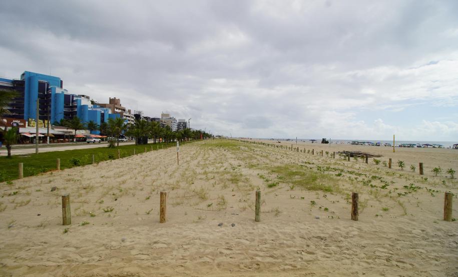 Revitalização da orla vai ampliar em quase cinco vezes a área de restinga nativa de Matinhos