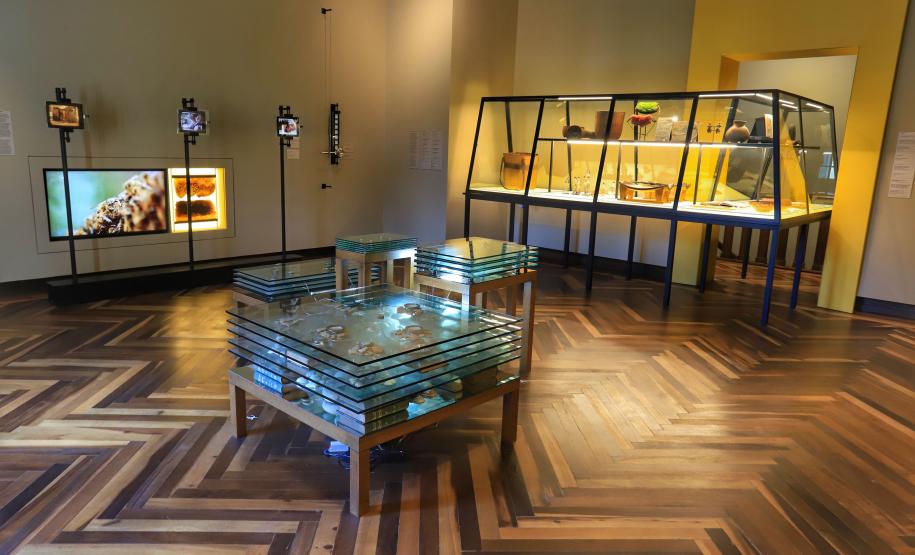 Sala de Exposição Museu Paranaense. 02-2021