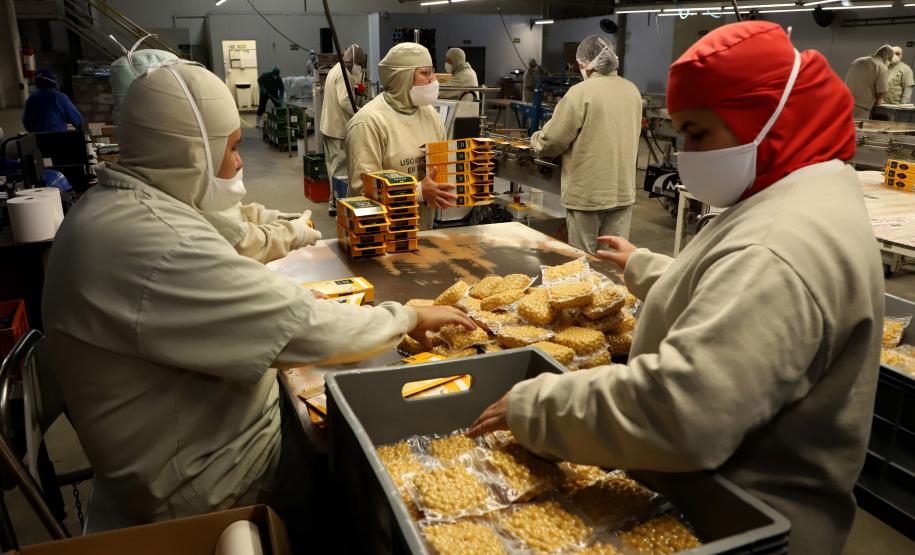 Com 118 mil novas vagas, Paraná lidera geração de empregos no Sul em 2022