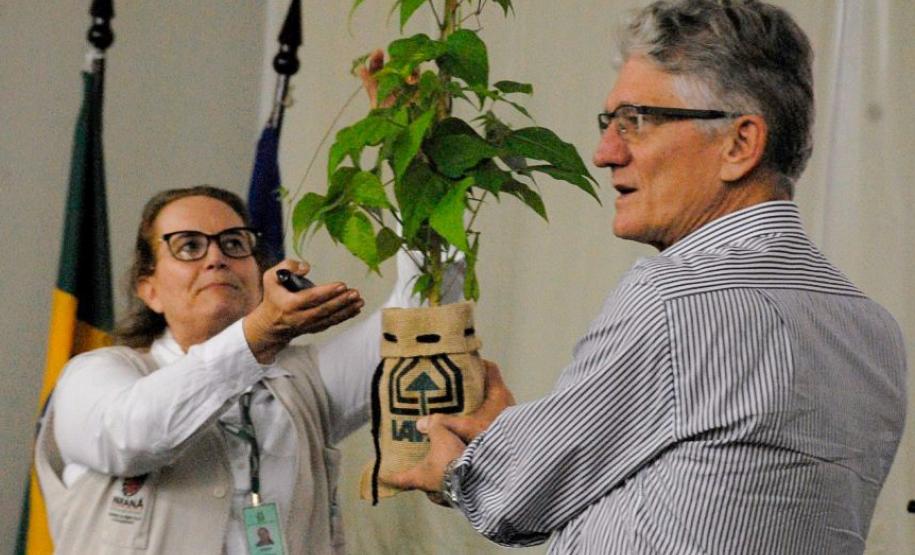 Mês da Mulher: conheça Vânia Cirino, cientista que democratizou o feijão no campo e na mesa