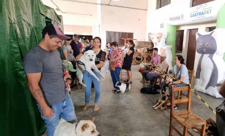 CastraPet Paraná alcança 73 mil animais esterilizados em 218 municípios
