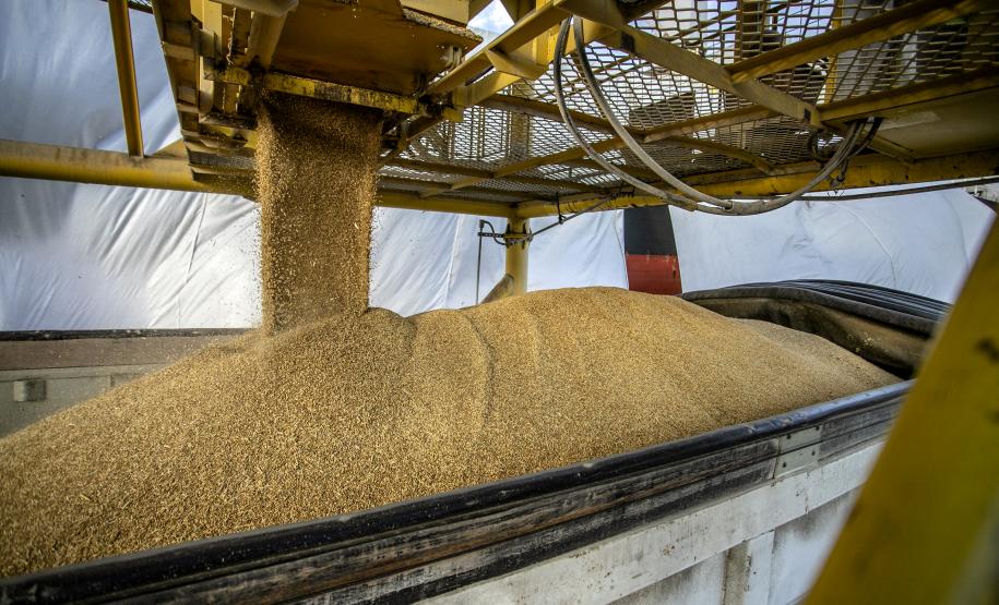 Referência no Brasil, Porto de Paranaguá celebra 88 anos com foco no futuro