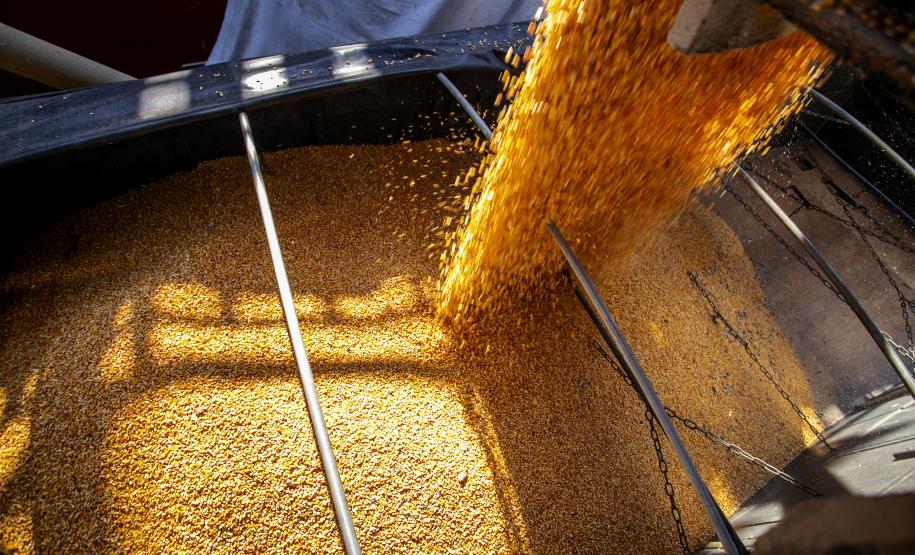 Referência no Brasil, Porto de Paranaguá celebra 88 anos com foco no futuro