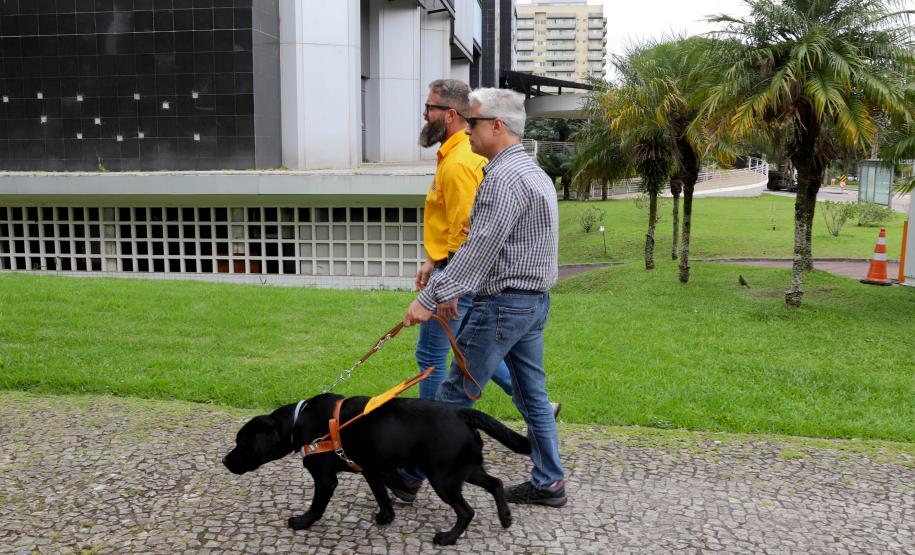 Conheça Rock e Roberto Leite, cão-guia e servidor cego que vão trabalhar no Governo do Paraná