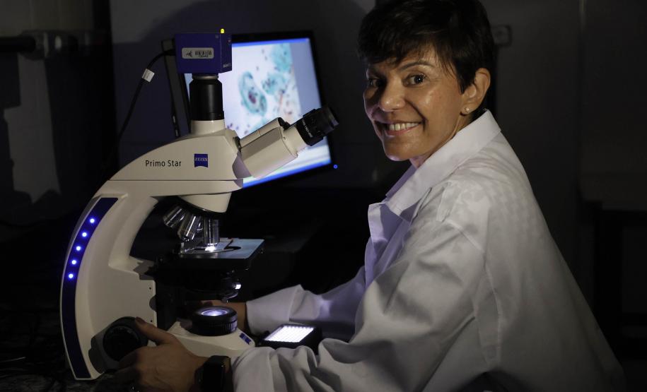 Estudos financiados pelo Estado pesquisam formas de aumentar o combate ao câncer em mulheres