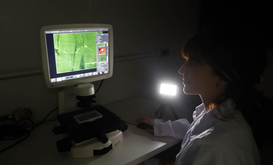 Estudos financiados pelo Estado pesquisam formas de aumentar o combate ao câncer em mulheres