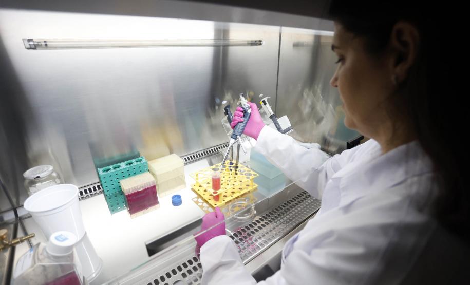 Estudos financiados pelo Estado pesquisam formas de aumentar o combate ao câncer em mulheres