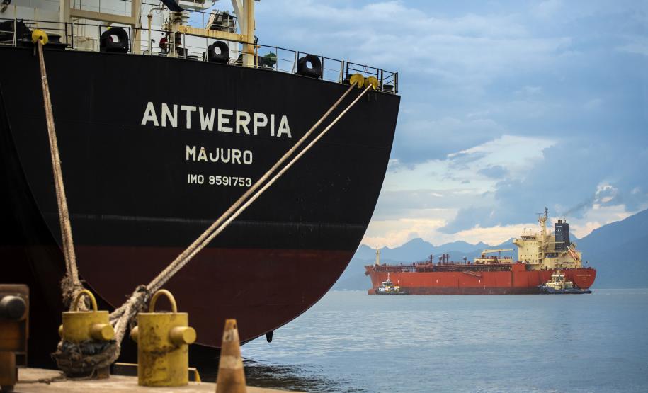 Arrendamentos: portos do Paraná avançam com leilão, inauguração e novo contrato de áreas