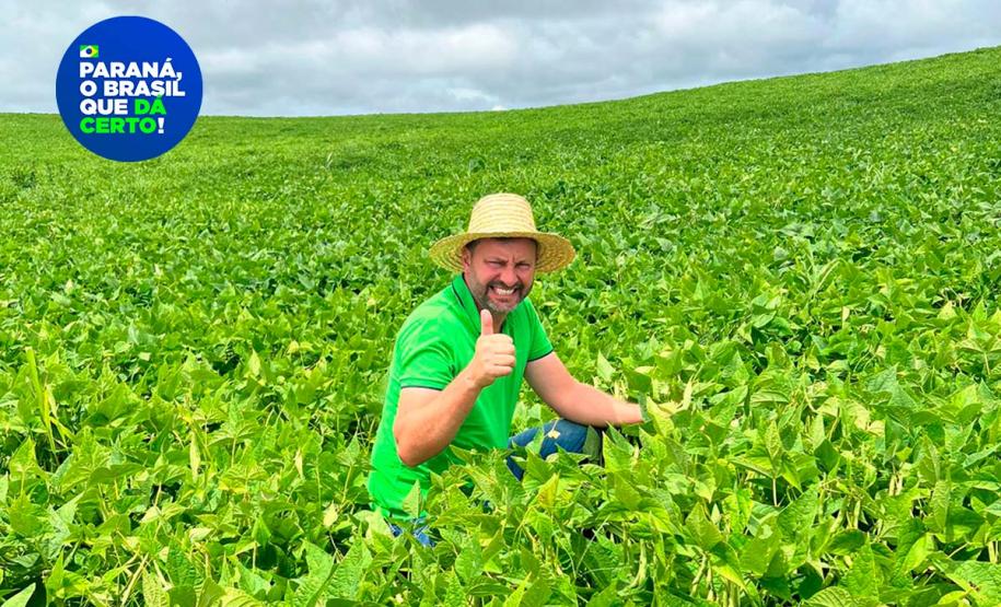 Paraná se destaca no melhoramento genético do feijão e garante maior produtividade