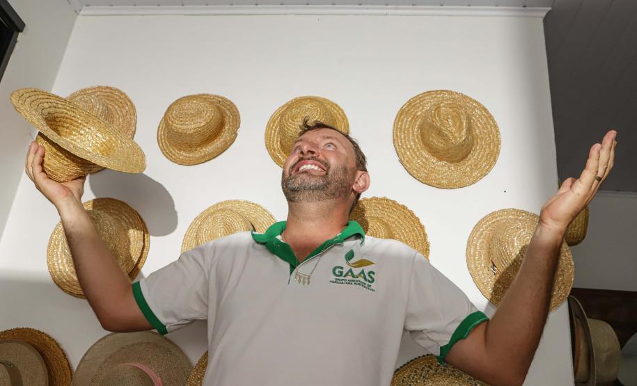 Paraná se destaca no melhoramento genético do feijão e garante maior produtividade