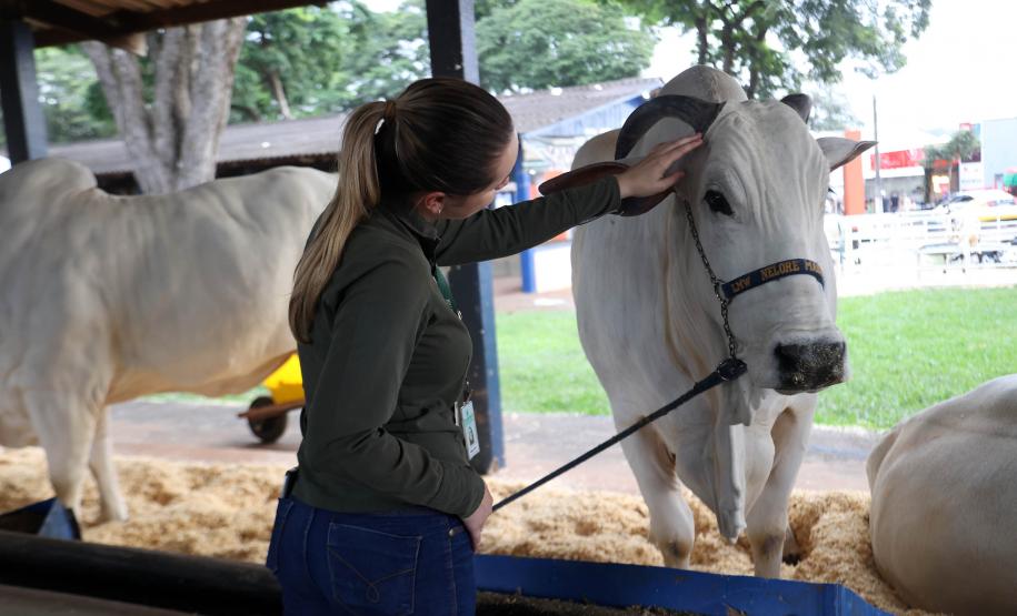 Na abertura da 61ª ExpoLondrina, governador destaca força do agronegócio paranaense
