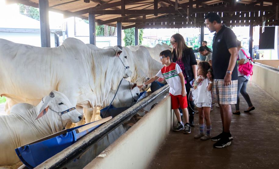 Na abertura da 61ª ExpoLondrina, governador destaca força do agronegócio paranaense