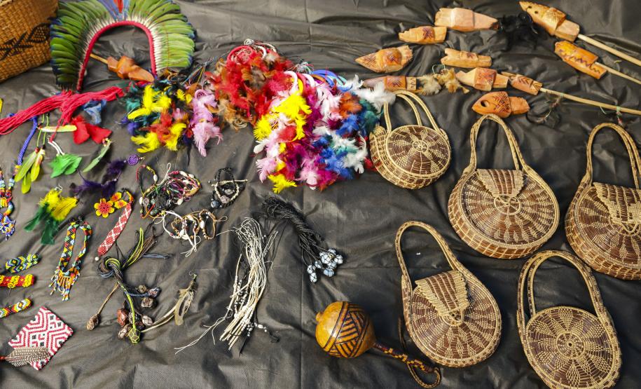 Paraná vira referência em gestão compartilhada de Unidade de Conservação com indígenas