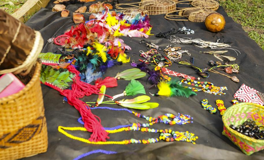 Paraná vira referência em gestão compartilhada de Unidade de Conservação com indígenas