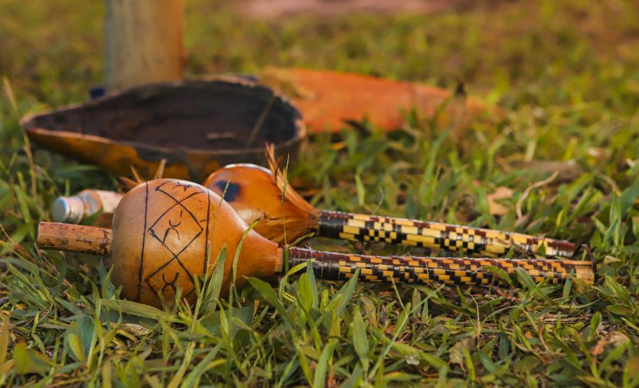 Paraná vira referência em gestão compartilhada de Unidade de Conservação com indígenas