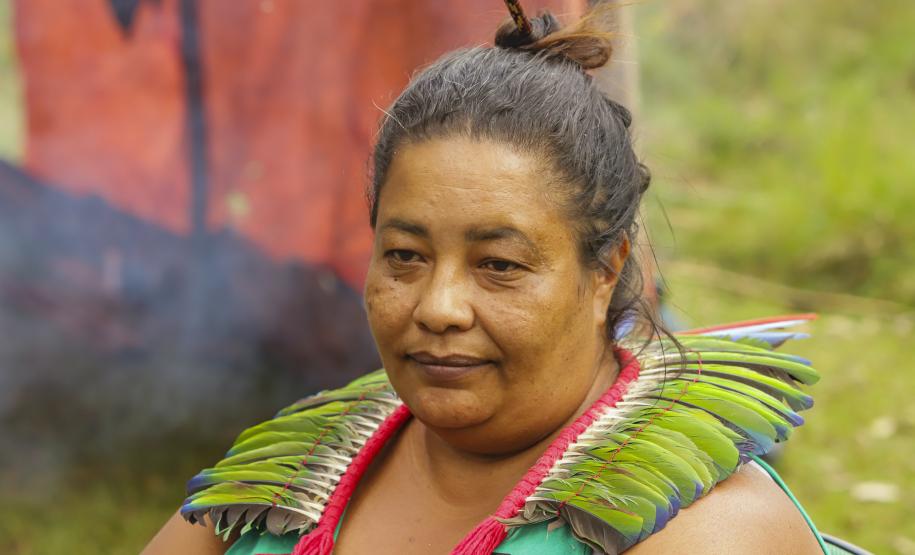 Paraná vira referência em gestão compartilhada de Unidade de Conservação com indígenas