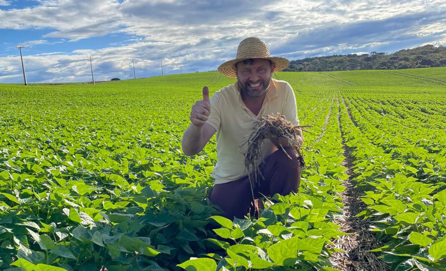 Paraná se destaca no melhoramento genético do feijão e garante maior produtividade