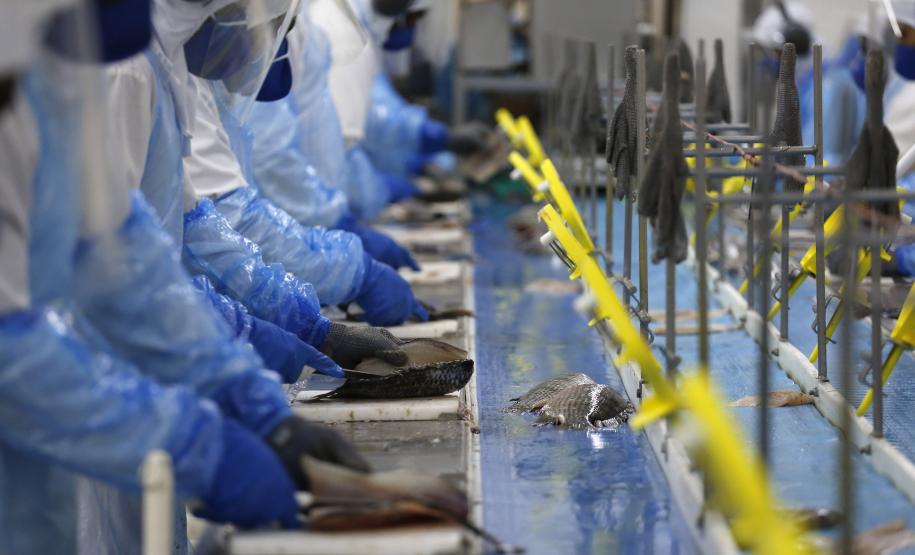 Com taxa de 5,4%, Paraná segue com um dos menores índices de desemprego do País