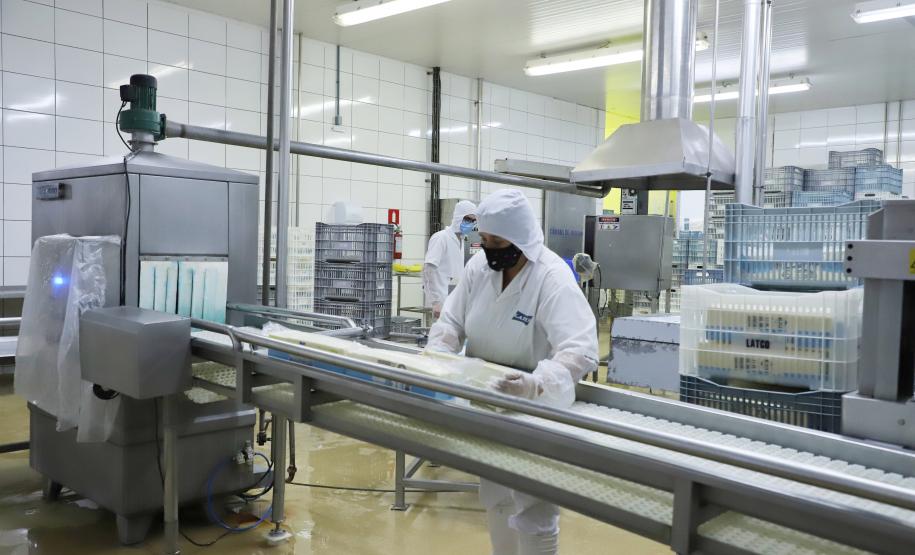 Com taxa de 5,4%, Paraná segue com um dos menores índices de desemprego do País