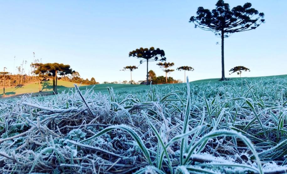 Com a chegada do inverno, Saúde alerta sobre os cuidados contra as Síndromes Gripais