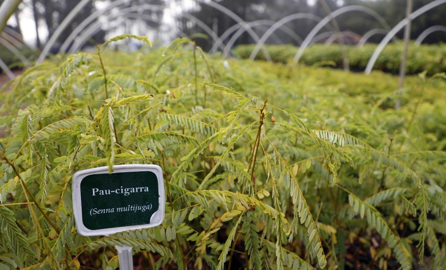 Paraná ativa Fórum de Mudanças Climáticas e abre consulta para política sobre biodiversidade