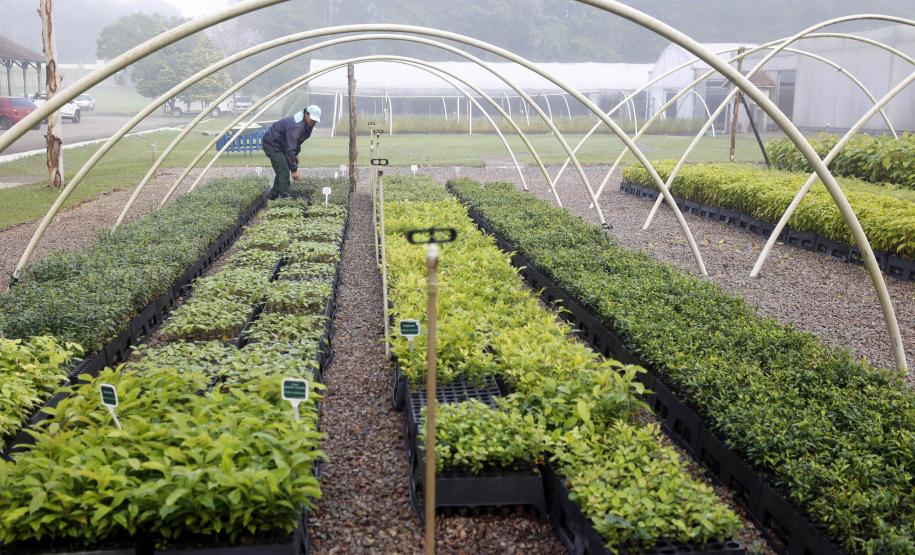 Paraná ativa Fórum de Mudanças Climáticas e abre consulta para política sobre biodiversidade