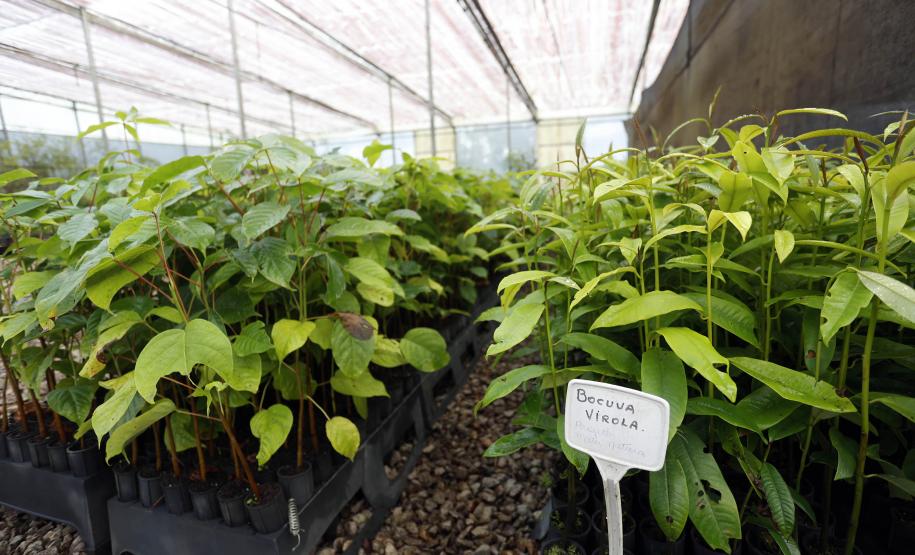 Paraná ativa Fórum de Mudanças Climáticas e abre consulta para política sobre biodiversidade