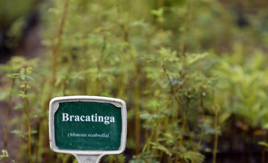 Paraná ativa Fórum de Mudanças Climáticas e abre consulta para política sobre biodiversidade