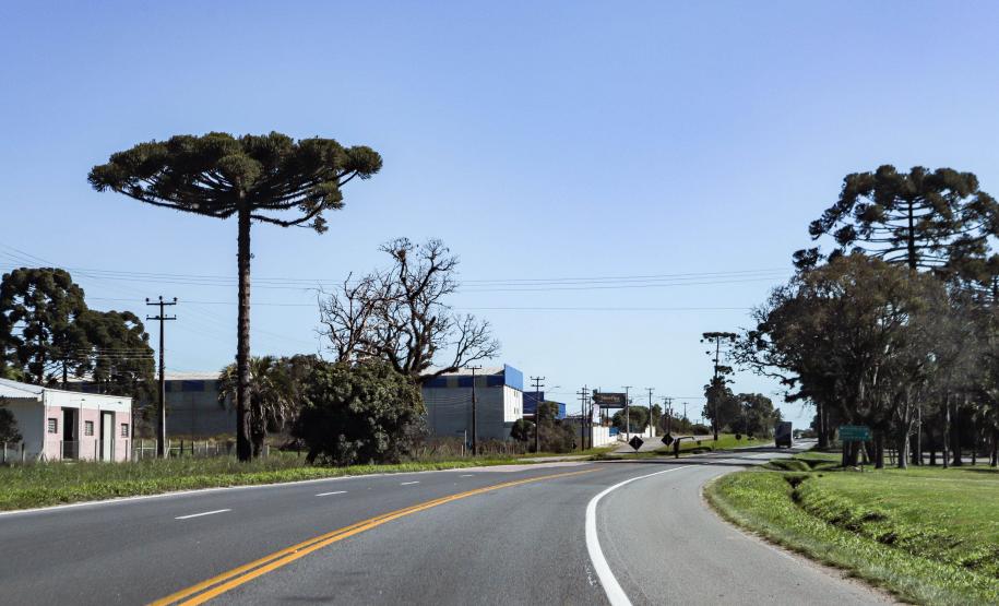 Lote 1 vai modernizar conexões de Araucária, Porto Amazonas, Campo Largo e Lapa, na RMC