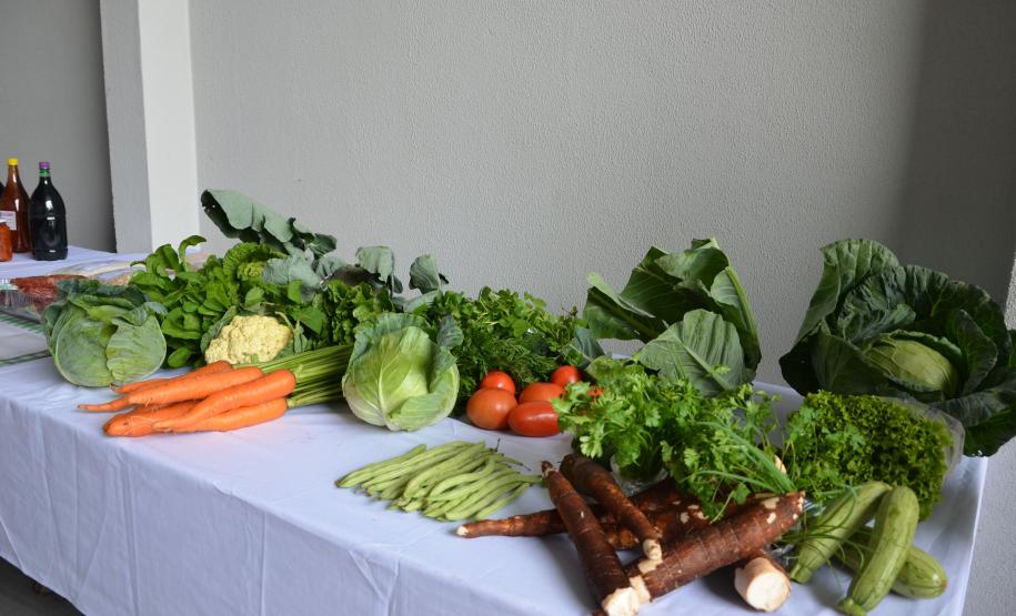 Coopera Paraná: Governo publica edital de R$ 31,5 milhões para apoiar agricultura familiar