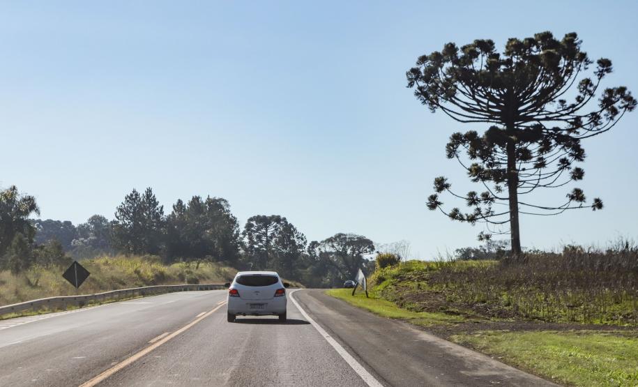 Lote 1 prevê duplicação e 21 viadutos e passarelas entre Ponta Grossa e Prudentópolis