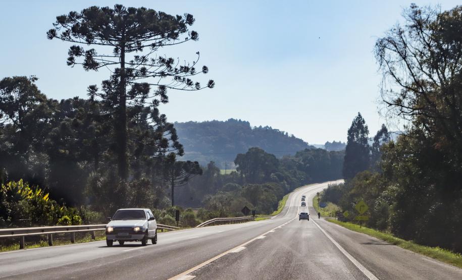 Lote 1 prevê duplicação e 21 viadutos e passarelas entre Ponta Grossa e Prudentópolis