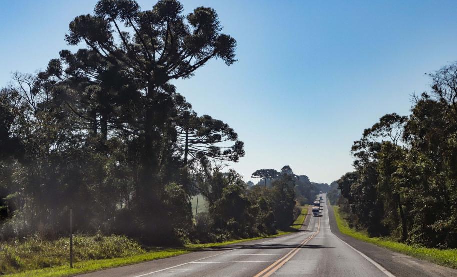 Lote 1 prevê duplicação e 21 viadutos e passarelas entre Ponta Grossa e Prudentópolis