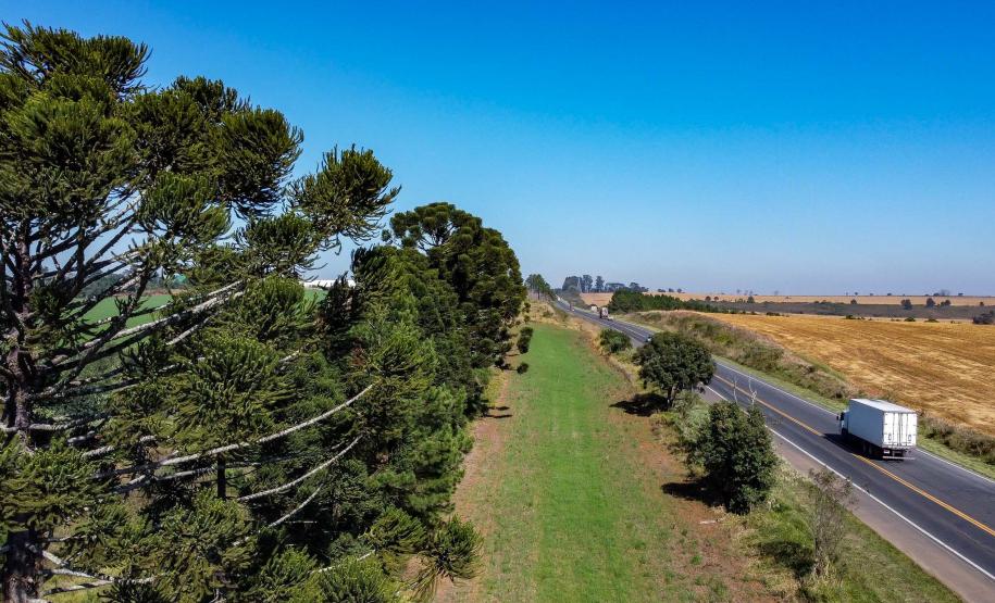 Lote 1 prevê duplicação e 21 viadutos e passarelas entre Ponta Grossa e Prudentópolis