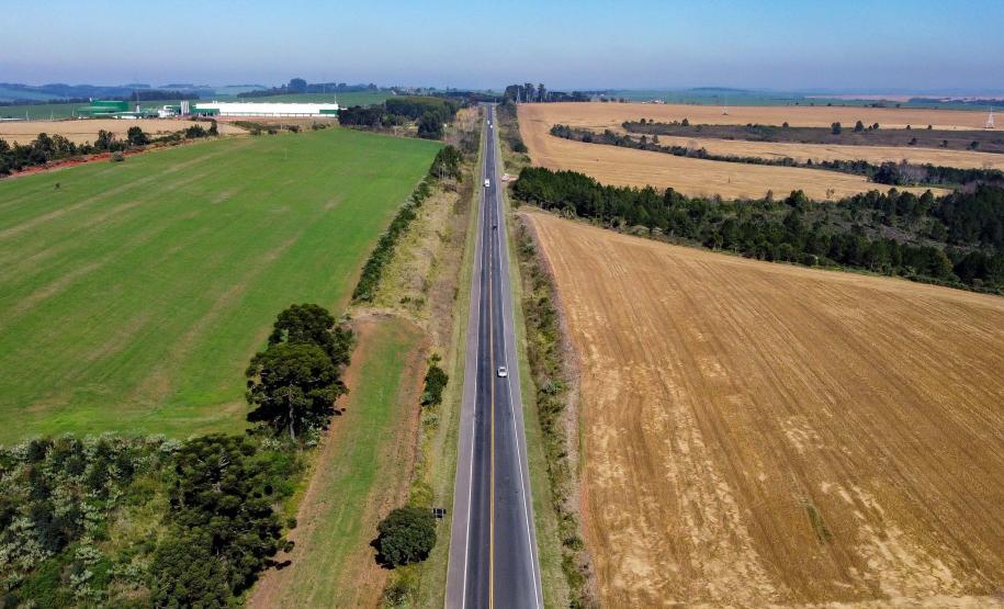 Lote 1 prevê duplicação e 21 viadutos e passarelas entre Ponta Grossa e Prudentópolis