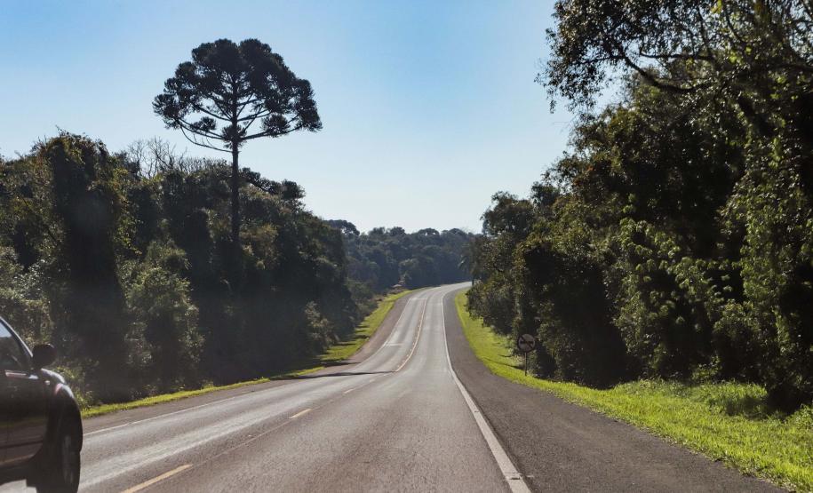Lote 1 da nova concessão terá 156 km de duplicação na BR-277, entre Curitiba e Prudentópolis