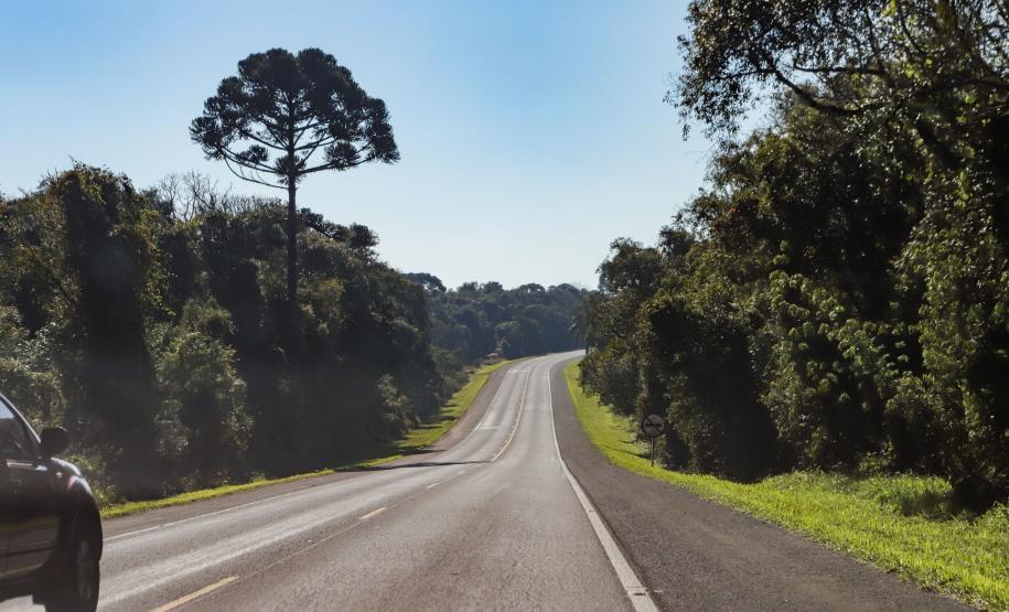 Lote 1 prevê duplicação e 21 viadutos e passarelas entre Ponta Grossa e Prudentópolis