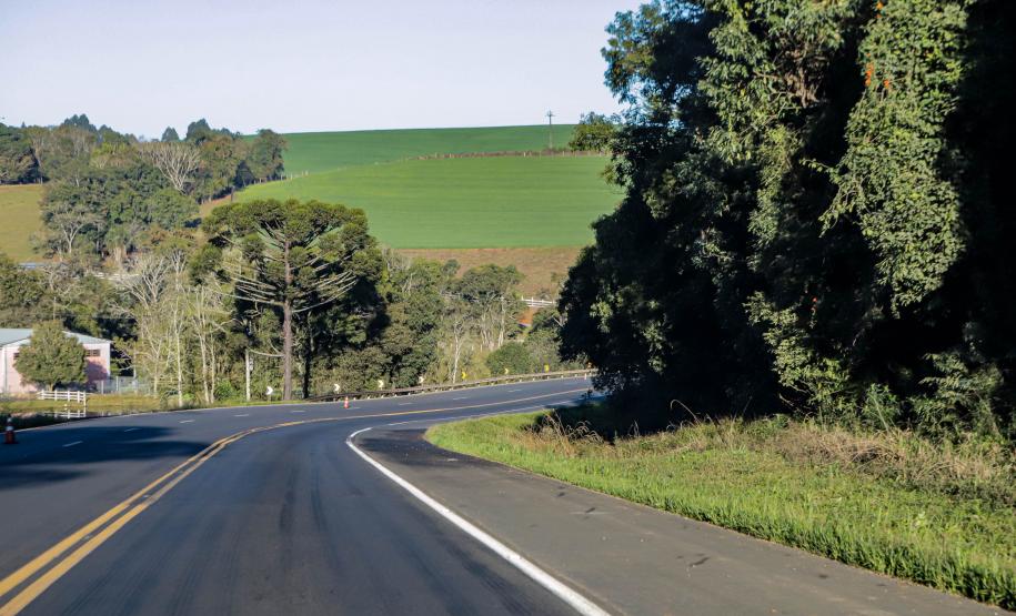 Lote 1 da nova concessão terá 156 km de duplicação na BR-277, entre Curitiba e Prudentópolis