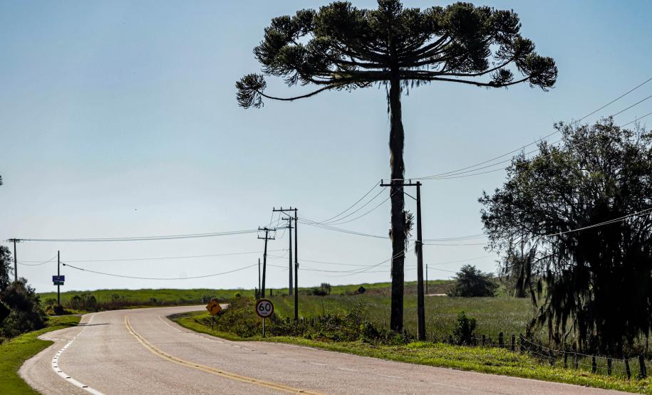 Lote 1 vai modernizar conexões de Araucária, Porto Amazonas, Campo Largo e Lapa, na RMC