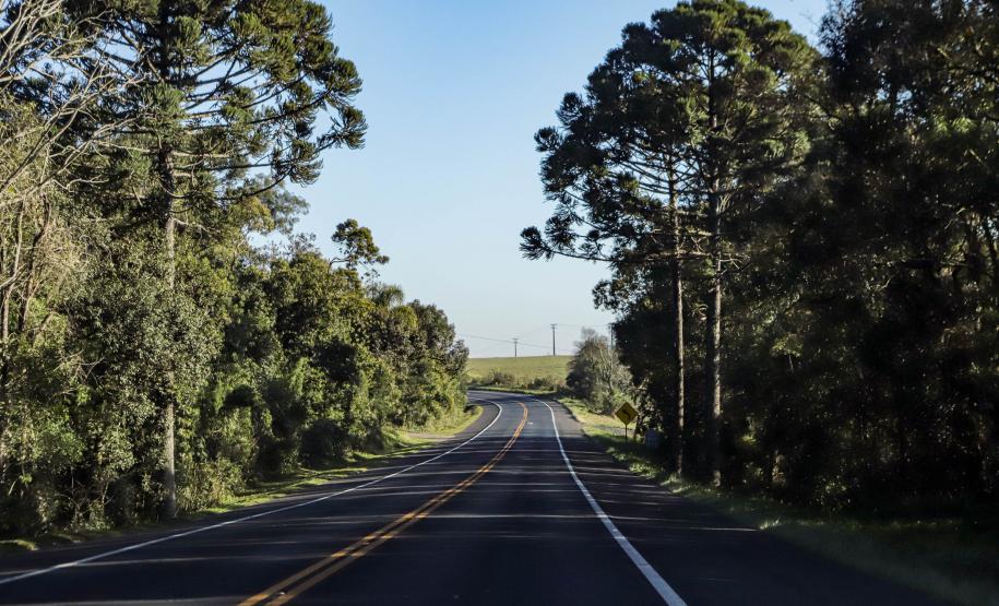 Lote 1 da nova concessão terá 156 km de duplicação na BR-277, entre Curitiba e Prudentópolis
