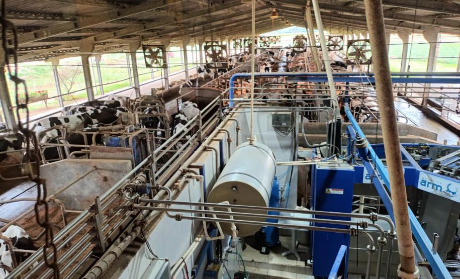 Ministro da Agricultura anuncia compra de leite de cooperativas em visita a Castro