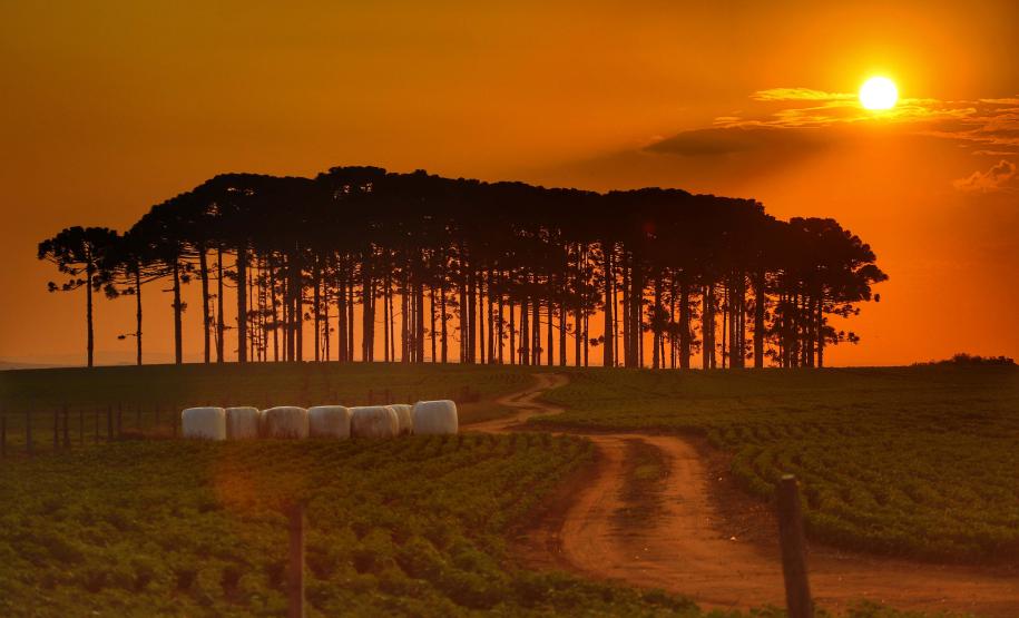 População pode enviar sugestões ao Plano de Ação Climática até 15 de setembro