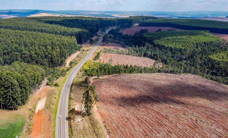 Lote 2 terá 71,5 km de duplicações e 35 viadutos entre Ponta Grossa e Sengés