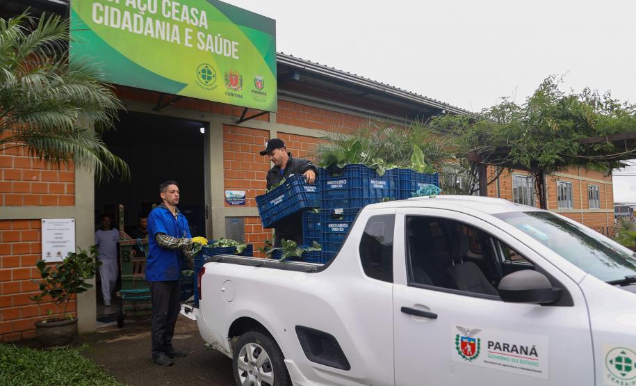 Arrecadação de alimentos na Ceasa Curitiba supera expectativa e chega a 33 toneladas
