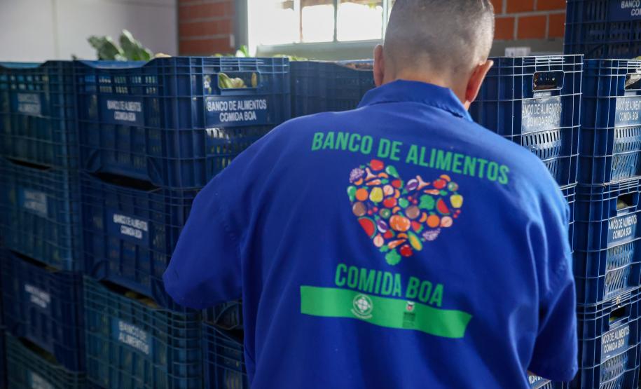 Arrecadação de alimentos na Ceasa Curitiba supera expectativa e chega a 33 toneladas